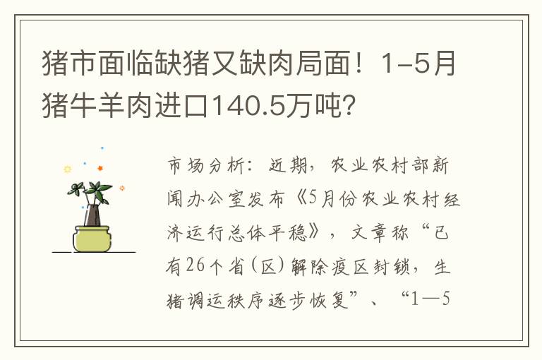 猪市面临缺猪又缺肉局面！1-5月猪牛羊肉进口140.5万吨？