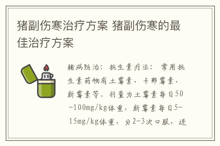 猪副伤寒治疗方案 猪副伤寒的最佳治疗方案