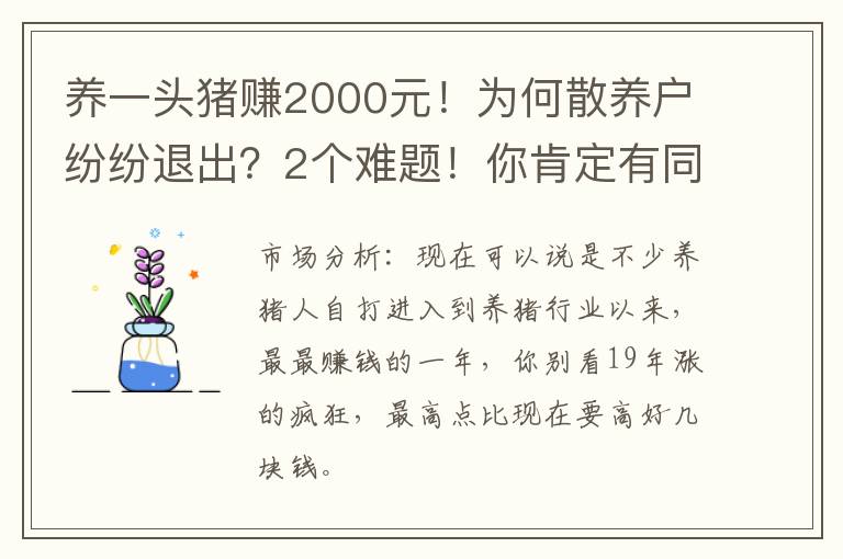 养一头猪赚2000元！为何散养户纷纷退出？2个难题！你肯定有同感