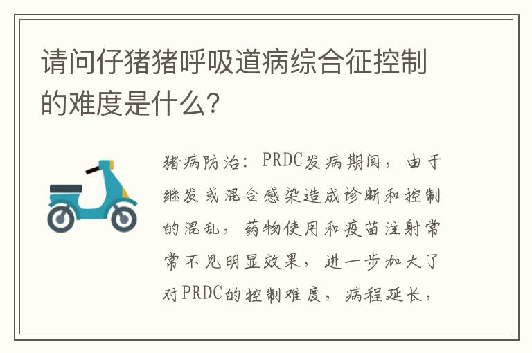 请问仔猪猪呼吸道病综合征控制的难度是什么？