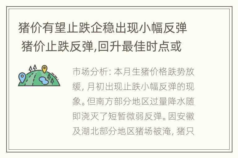 猪价有望止跌企稳出现小幅反弹 猪价止跌反弹,回升最佳时点或未到来