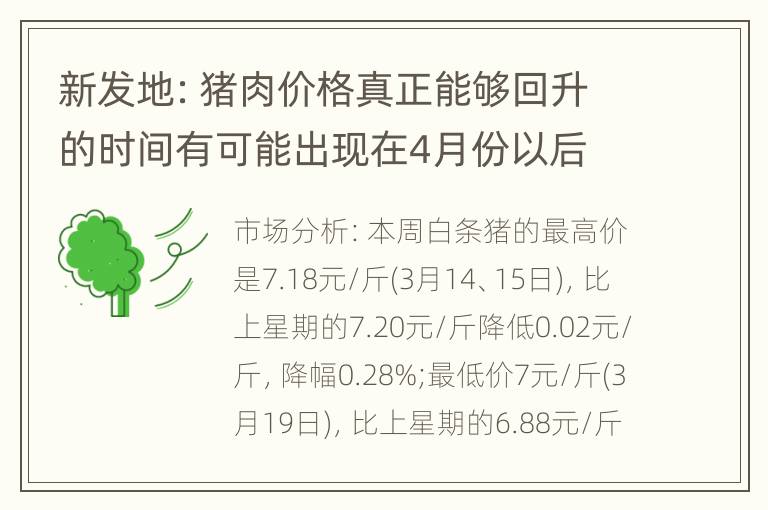 新发地：猪肉价格真正能够回升的时间有可能出现在4月份以后