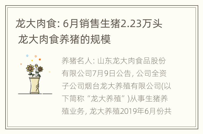 龙大肉食：6月销售生猪2.23万头 龙大肉食养猪的规模