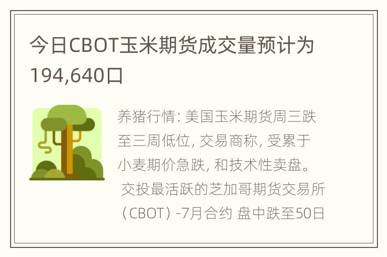 今日CBOT玉米期货成交量预计为194,640口