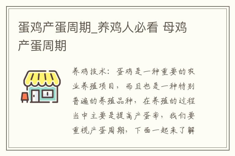 蛋鸡产蛋周期_养鸡人必看 母鸡产蛋周期