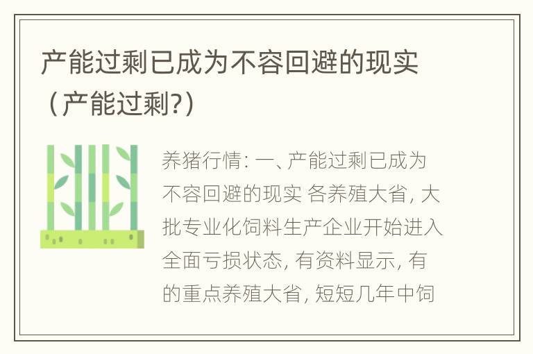 产能过剩已成为不容回避的现实（产能过剩?）