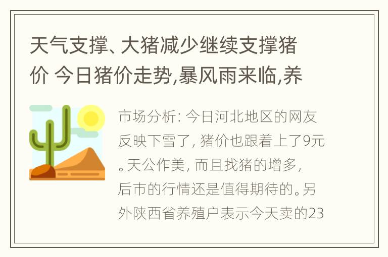 天气支撑、大猪减少继续支撑猪价 今日猪价走势,暴风雨来临,养猪人要注意了