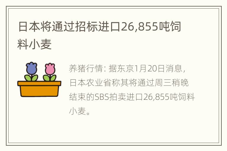 日本将通过招标进口26,855吨饲料小麦