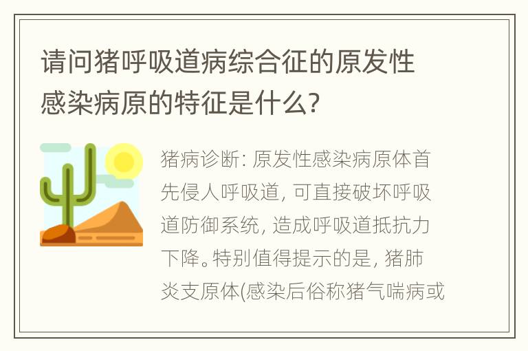 请问猪呼吸道病综合征的原发性感染病原的特征是什么？