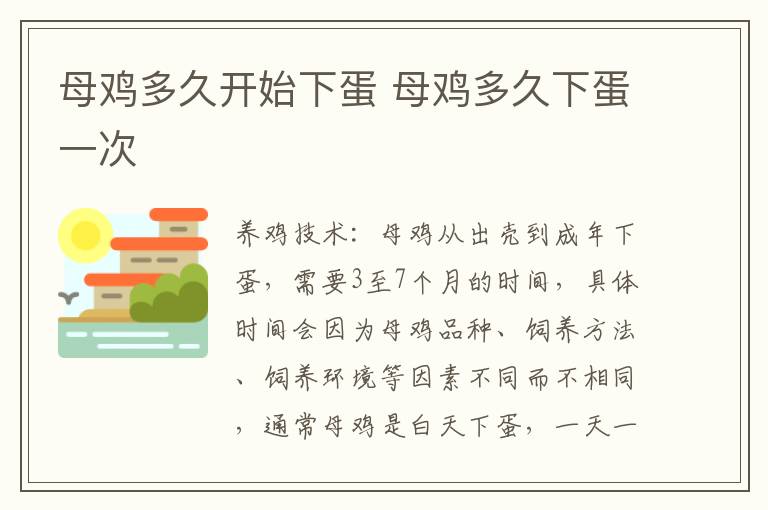 母鸡多久开始下蛋 母鸡多久下蛋一次