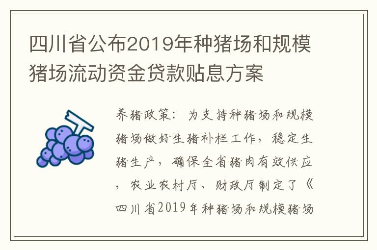 四川省公布2019年种猪场和规模猪场流动资金贷款贴息方案