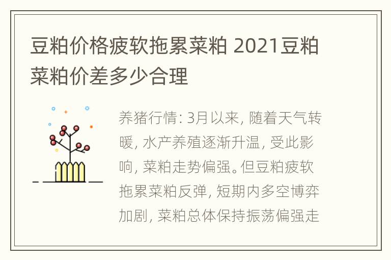 豆粕价格疲软拖累菜粕 2021豆粕菜粕价差多少合理