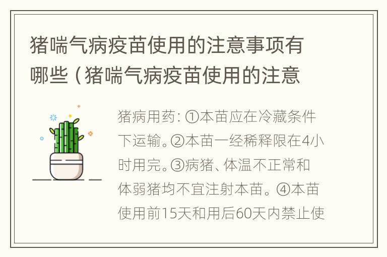 猪喘气病疫苗使用的注意事项有哪些（猪喘气病疫苗使用的注意事项有哪些图片）