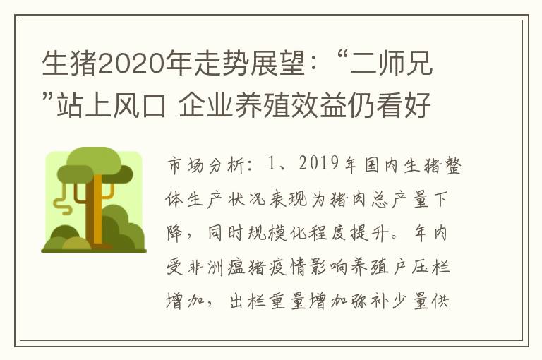 生猪2020年走势展望：“二师兄”站上风口 企业养殖效益仍看好