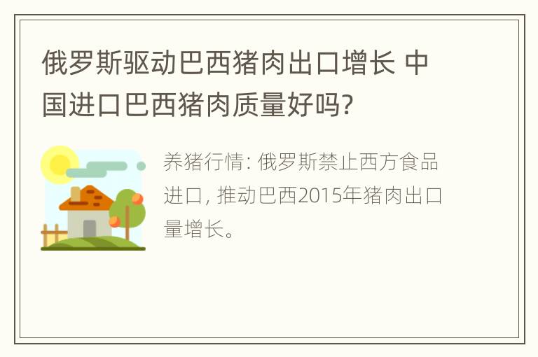 俄罗斯驱动巴西猪肉出口增长 中国进口巴西猪肉质量好吗?