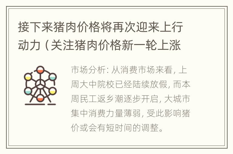 接下来猪肉价格将再次迎来上行动力（关注猪肉价格新一轮上涨周期）