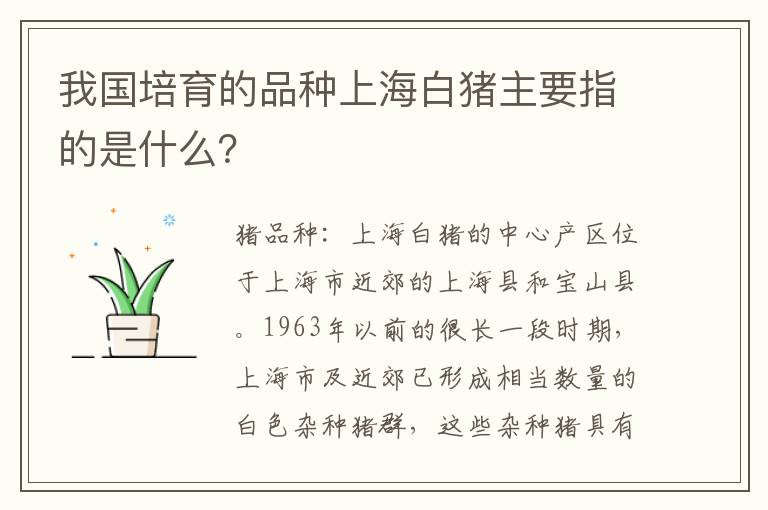 我国培育的品种上海白猪主要指的是什么？