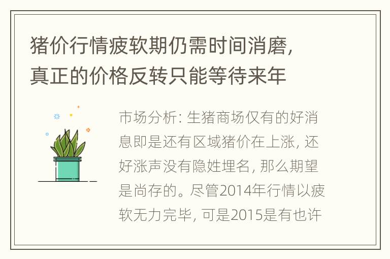 猪价行情疲软期仍需时间消磨，真正的价格反转只能等待来年