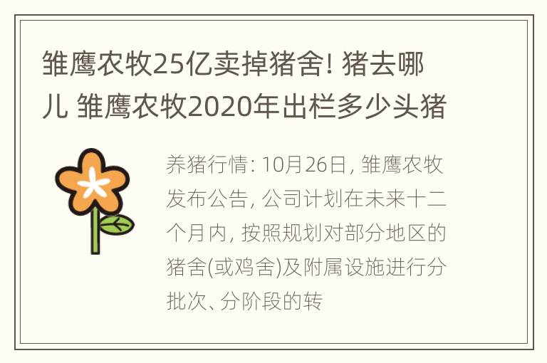 雏鹰农牧25亿卖掉猪舍！猪去哪儿 雏鹰农牧2020年出栏多少头猪?