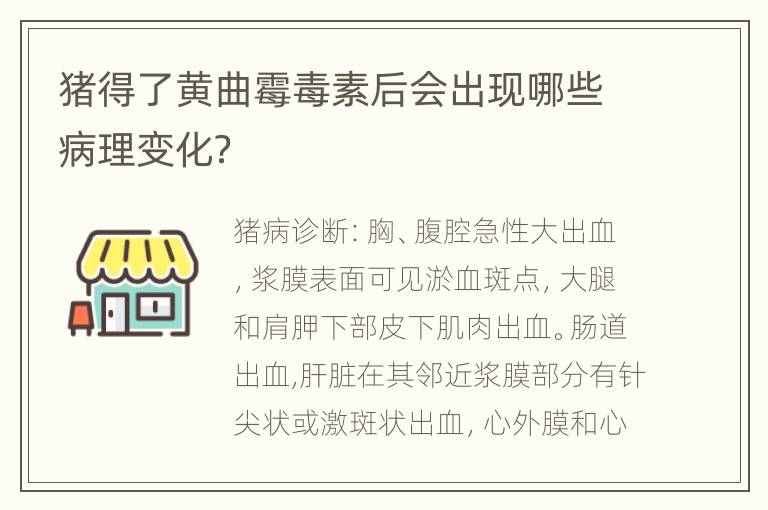 猪得了黄曲霉毒素后会出现哪些病理变化？