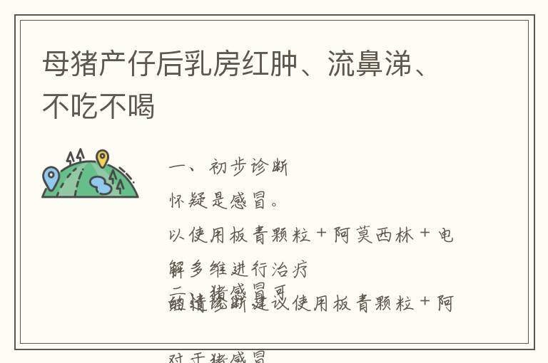 母猪产仔后乳房红肿、流鼻涕、不吃不喝