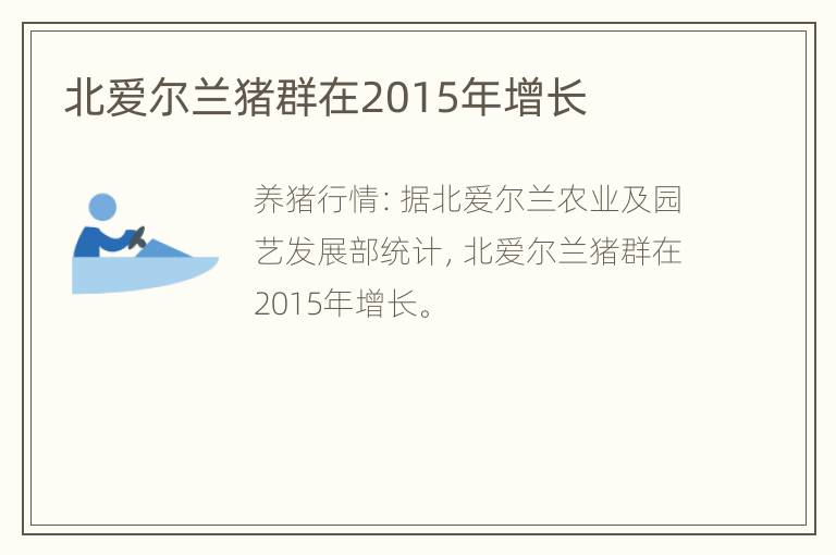 北爱尔兰猪群在2015年增长