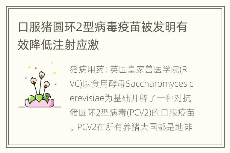 口服猪圆环2型病毒疫苗被发明有效降低注射应激