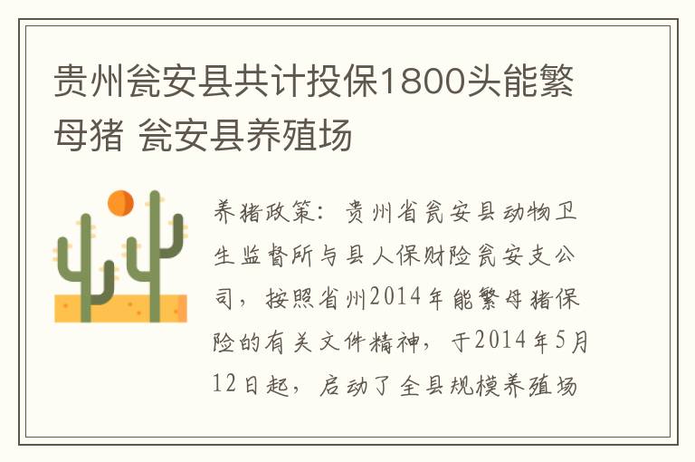 贵州瓮安县共计投保1800头能繁母猪 瓮安县养殖场