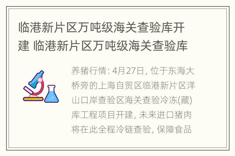 临港新片区万吨级海关查验库开建 临港新片区万吨级海关查验库开建了吗