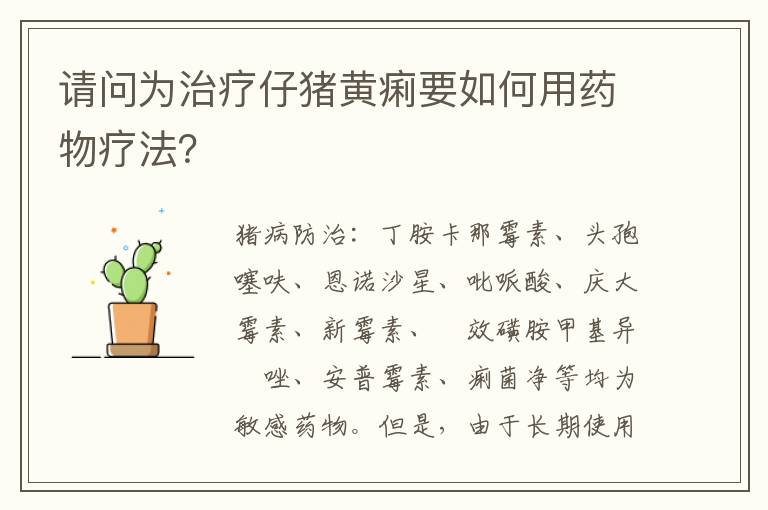 请问为治疗仔猪黄痢要如何用药物疗法？