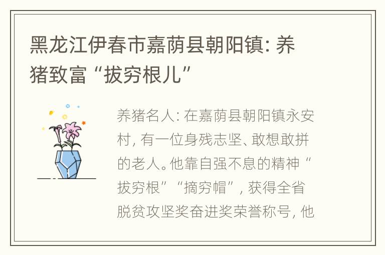 黑龙江伊春市嘉荫县朝阳镇：养猪致富“拔穷根儿”