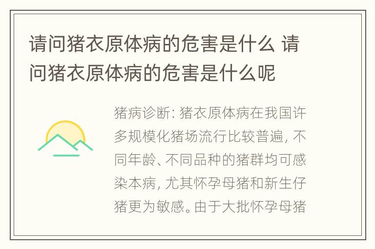 请问猪衣原体病的危害是什么 请问猪衣原体病的危害是什么呢