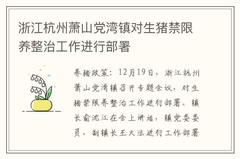 浙江杭州萧山党湾镇对生猪禁限养整治工作进行部署