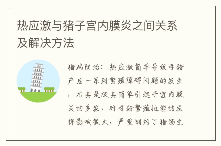 热应激与猪子宫内膜炎之间关系及解决方法