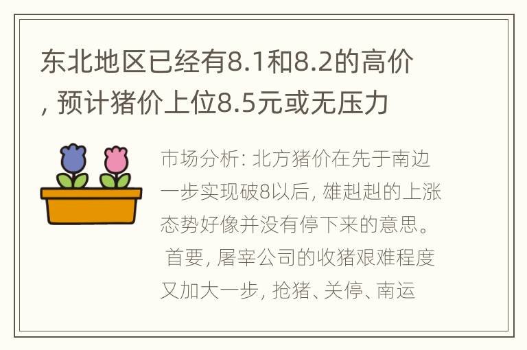 东北地区已经有8.1和8.2的高价，预计猪价上位8.5元或无压力