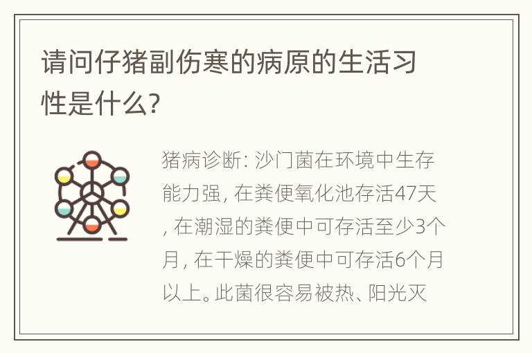 请问仔猪副伤寒的病原的生活习性是什么？