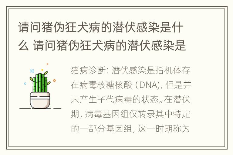 请问猪伪狂犬病的潜伏感染是什么 请问猪伪狂犬病的潜伏感染是什么病毒