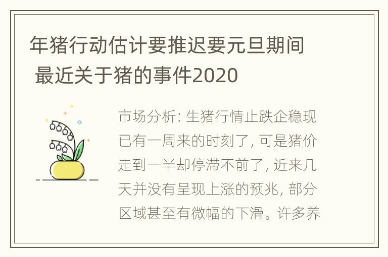 年猪行动估计要推迟要元旦期间 最近关于猪的事件2020