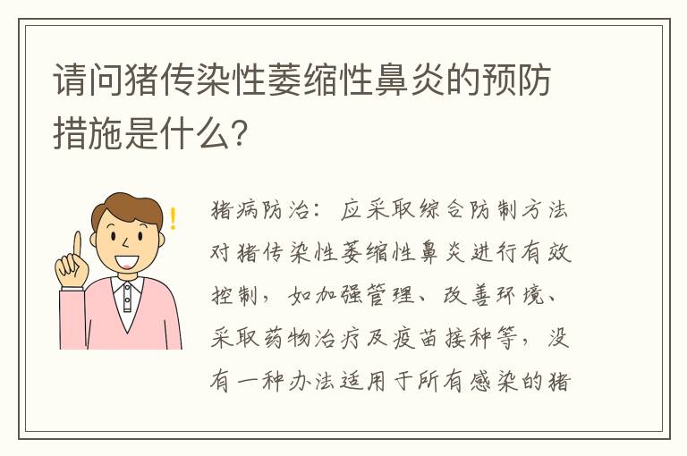 请问猪传染性萎缩性鼻炎的预防措施是什么？