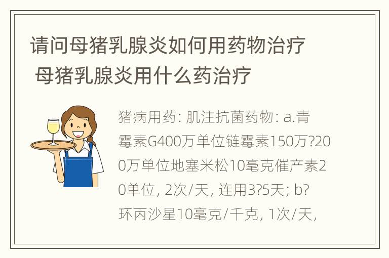 请问母猪乳腺炎如何用药物治疗 母猪乳腺炎用什么药治疗