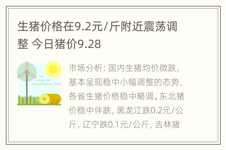 生猪价格在9.2元/斤附近震荡调整 今日猪价9.28