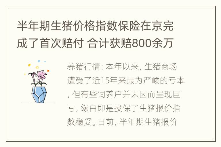 半年期生猪价格指数保险在京完成了首次赔付 合计获赔800余万元