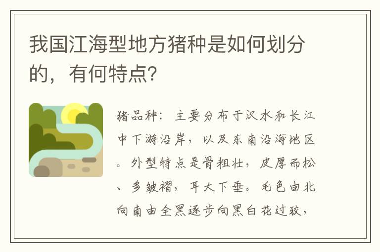 我国江海型地方猪种是如何划分的，有何特点？