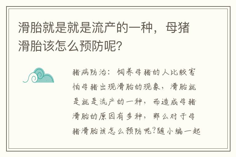 滑胎就是就是流产的一种，母猪滑胎该怎么预防呢？