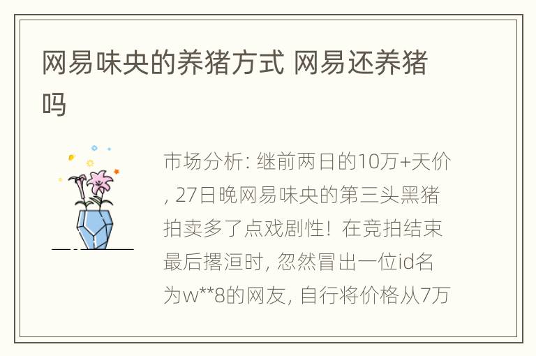 网易味央的养猪方式 网易还养猪吗