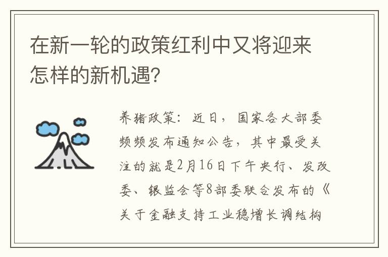 在新一轮的政策红利中又将迎来怎样的新机遇？