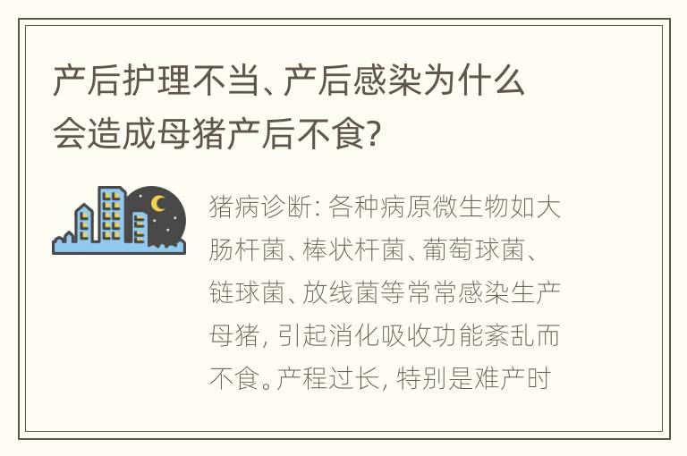 产后护理不当、产后感染为什么会造成母猪产后不食？