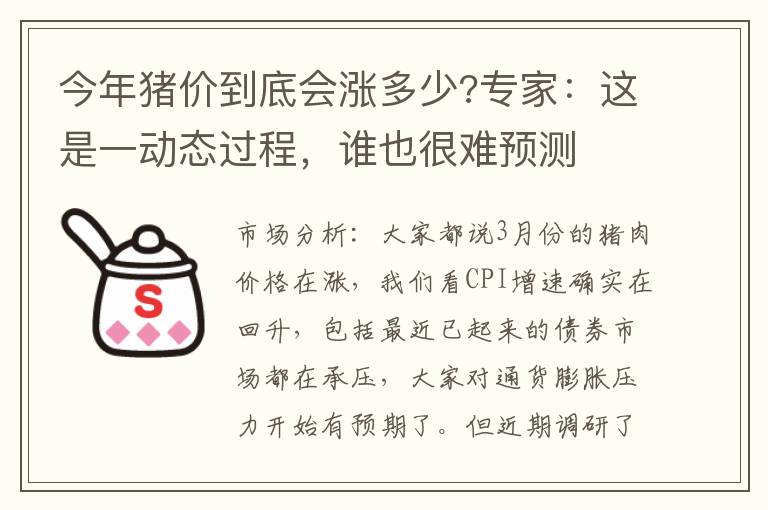 今年猪价到底会涨多少?专家：这是一动态过程，谁也很难预测