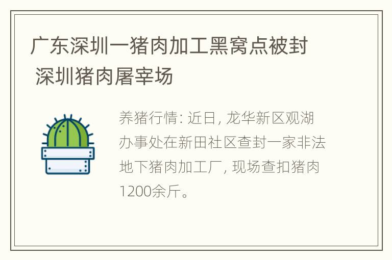 广东深圳一猪肉加工黑窝点被封 深圳猪肉屠宰场