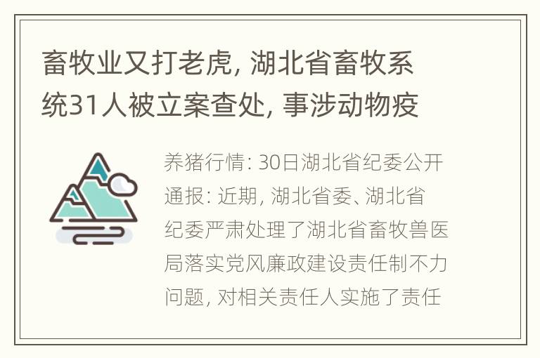 畜牧业又打老虎，湖北省畜牧系统31人被立案查处，事涉动物疫苗